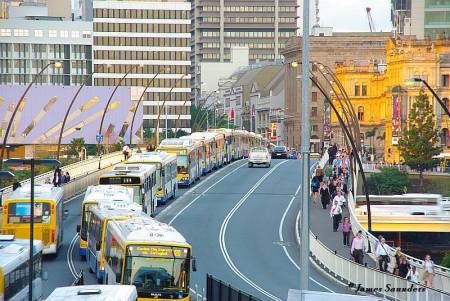 Another bus "conga line" leaving downtown Brisbane, Australia to enter busway.